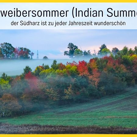Marks Ferienwohnung In Bad Sachsa - Waldnah, Hundefreundlich, Ruhig! Ideal Fuer Paare Mit Hund Luaran gambar