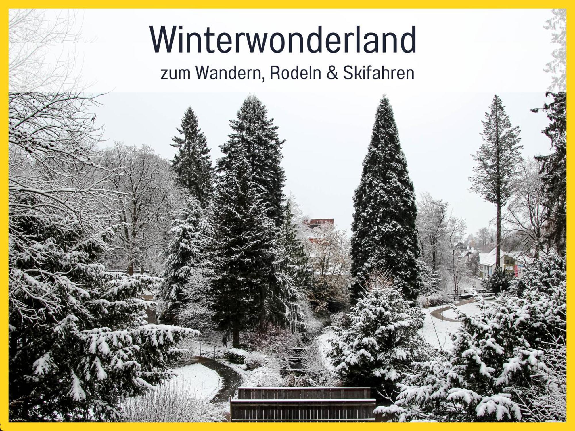 Marks Ferienwohnung In Bad Sachsa - Waldnah, Hundefreundlich, Ruhig! Ideal Fuer Paare Mit Hund Luaran gambar